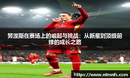 努涅斯在赛场上的崛起与挑战：从新星到顶级前锋的成长之路